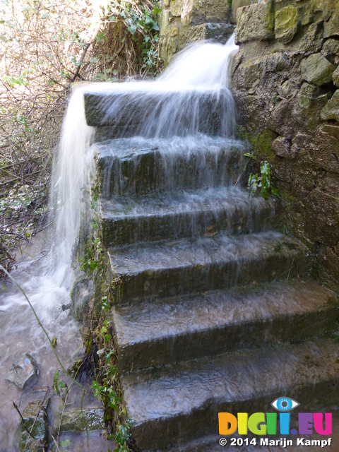 FZ001458 Overflowing steps and style